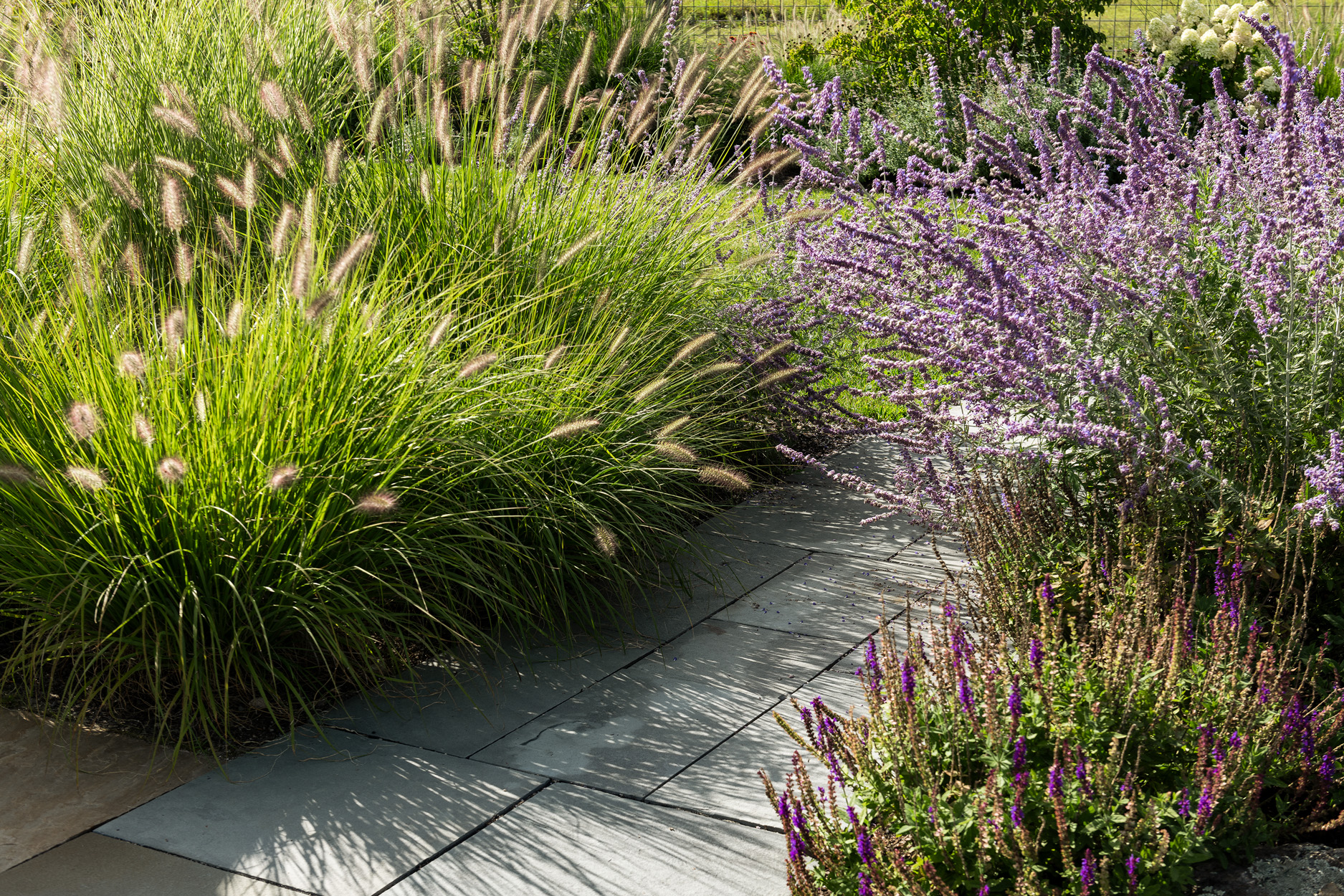 Landscape Architecture Landscape architecture project