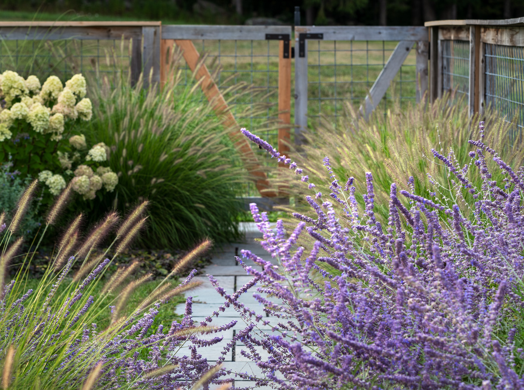 Landscape Architecture feature imagery